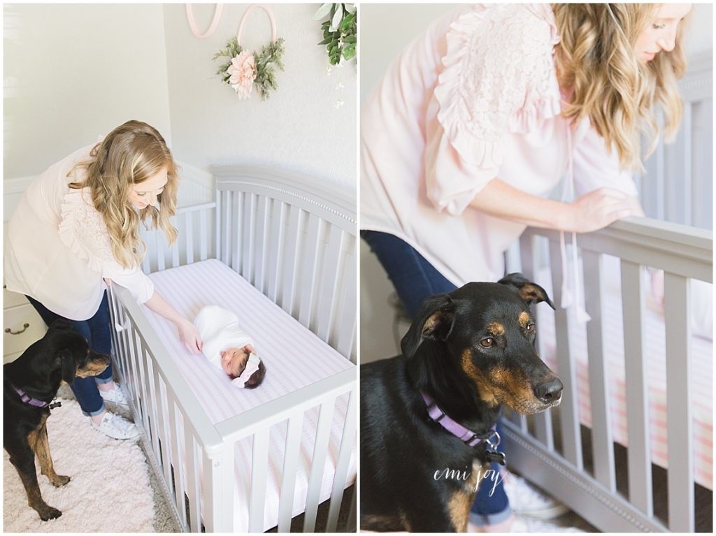 lifestyle newborn dog session 